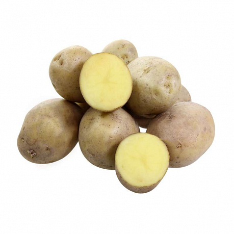 Картофель семенной Лаперла