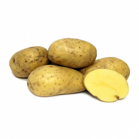 Картофель семенной Ривьера